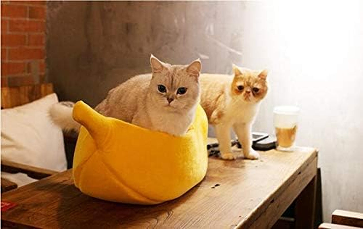 · Cute Banana Cat Bed House Large Size