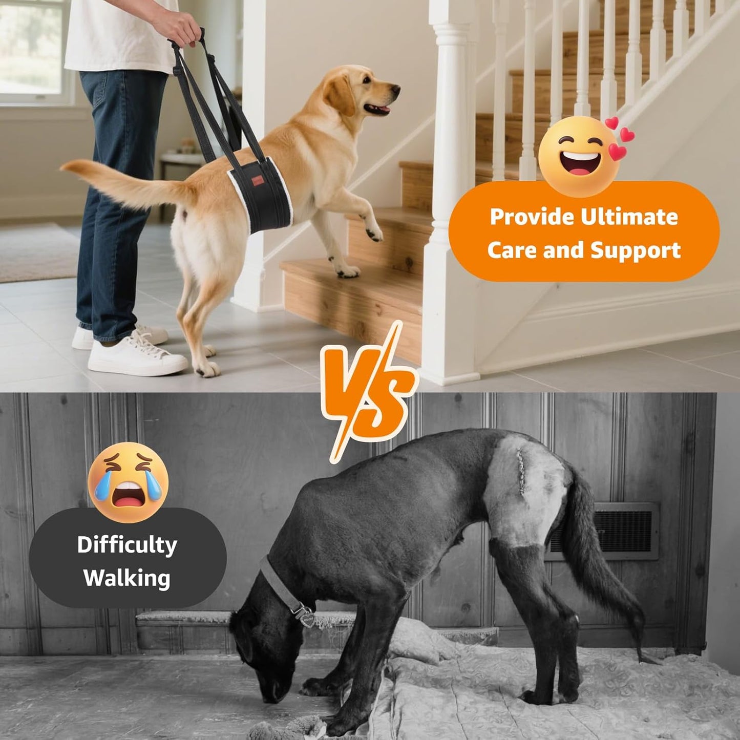 Portable Dog Sling for Back Legs