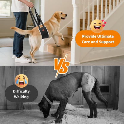 Portable Dog Sling for Back Legs