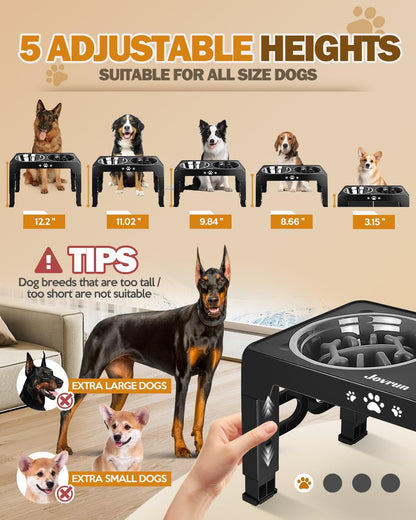 Elevated Dog Bowls for Medium Large Size