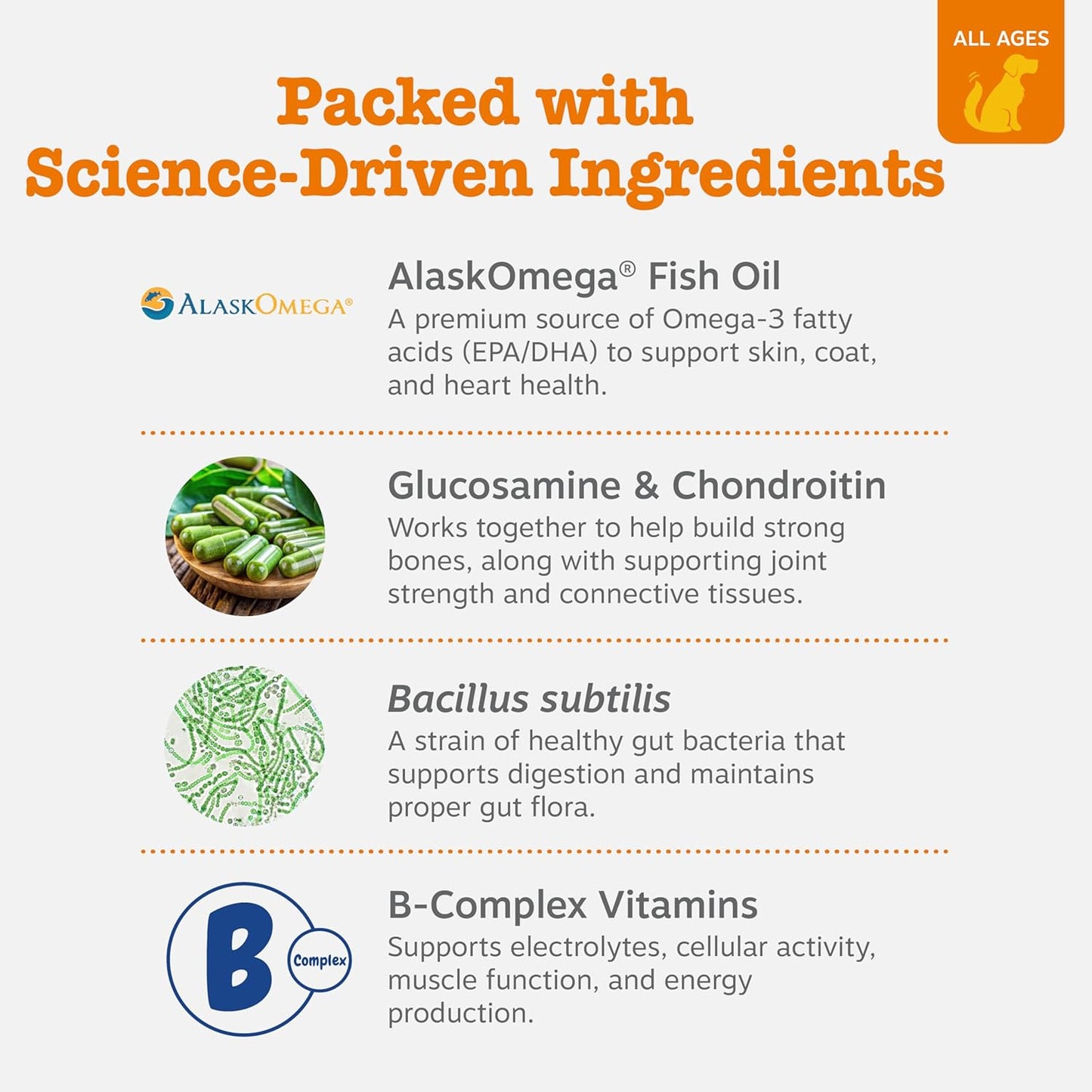 Dog Multivitamin, Chewable Dog Vitamins