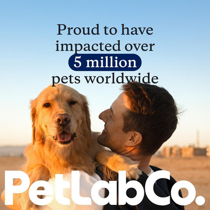 Probiotics for Dogs, Support Gut Health