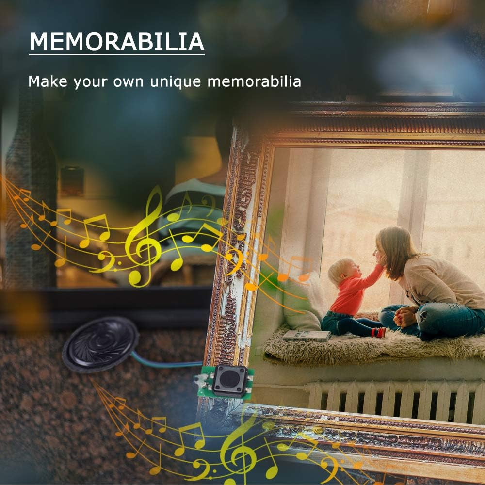 Recordable Sound Module, Button Control 