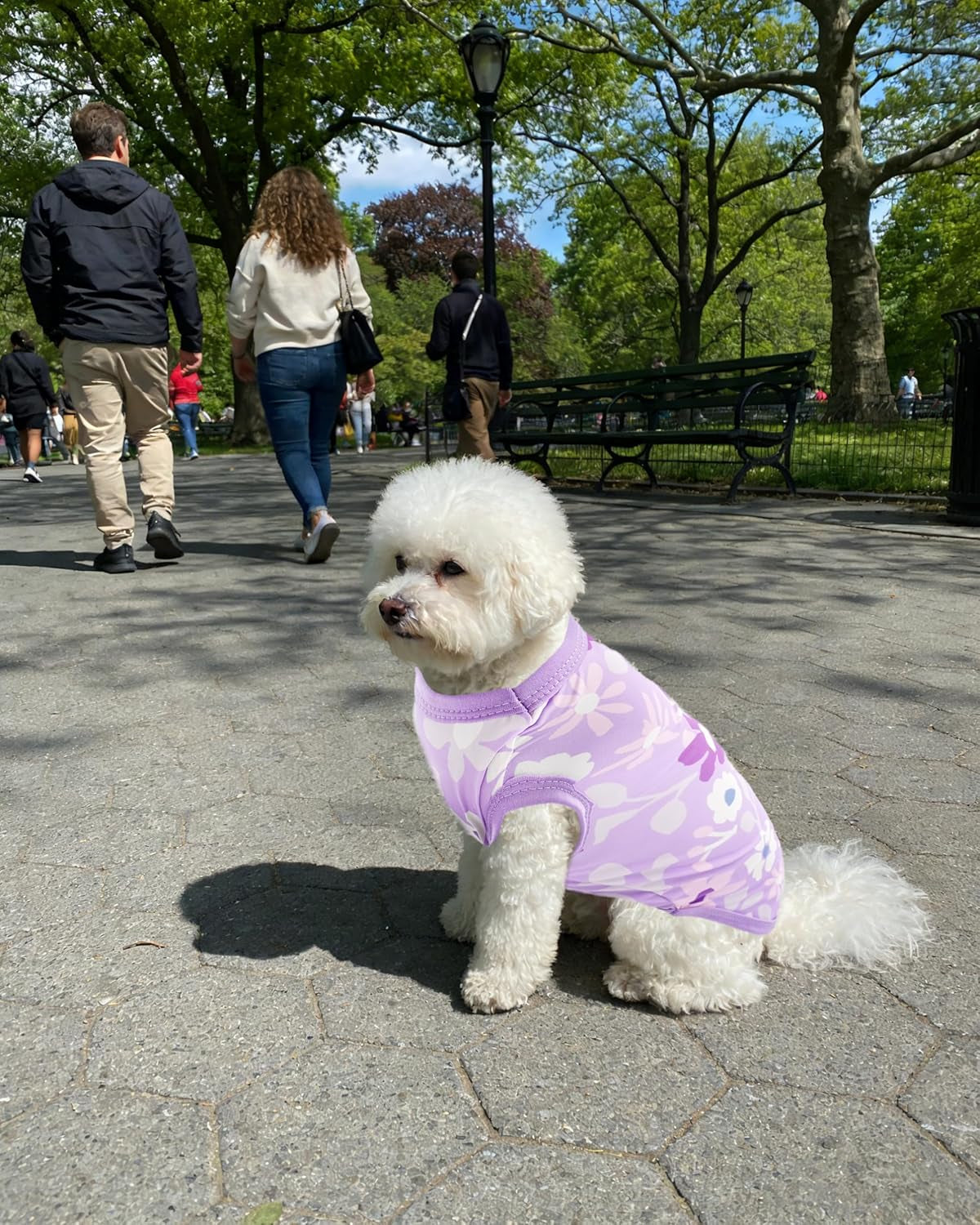 4 Pack Summer Dog Shirts Small Doggies