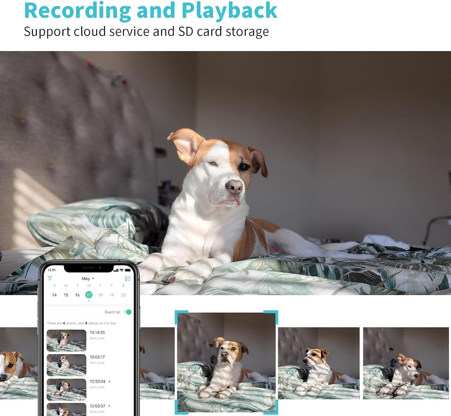 Pet Camera2K HD Dog Camera with Phone AP