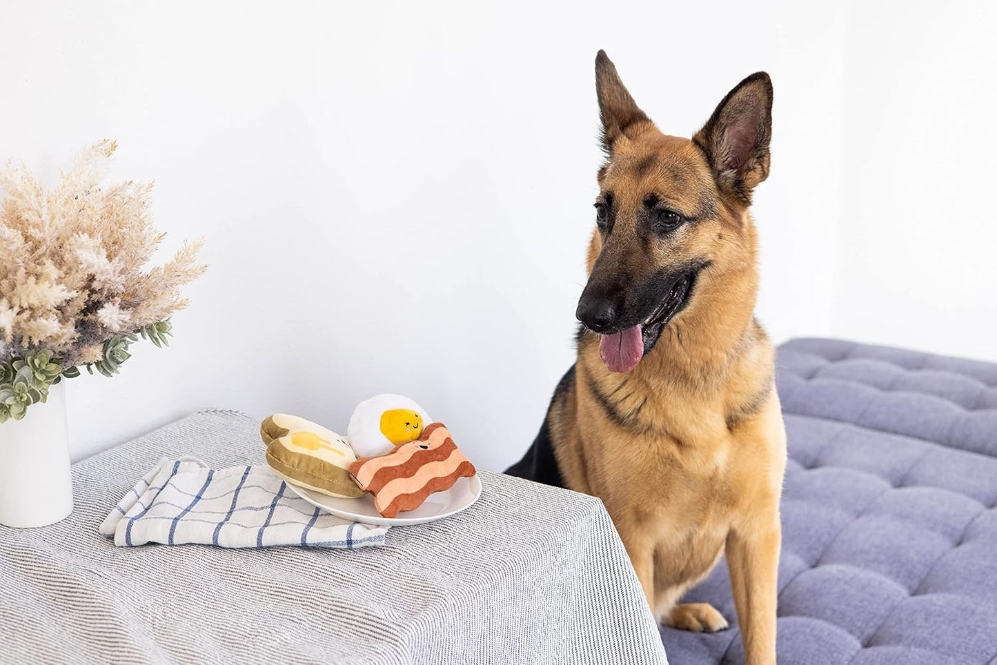 Barkfast Dog Toys, Set of 3, Plush Pet