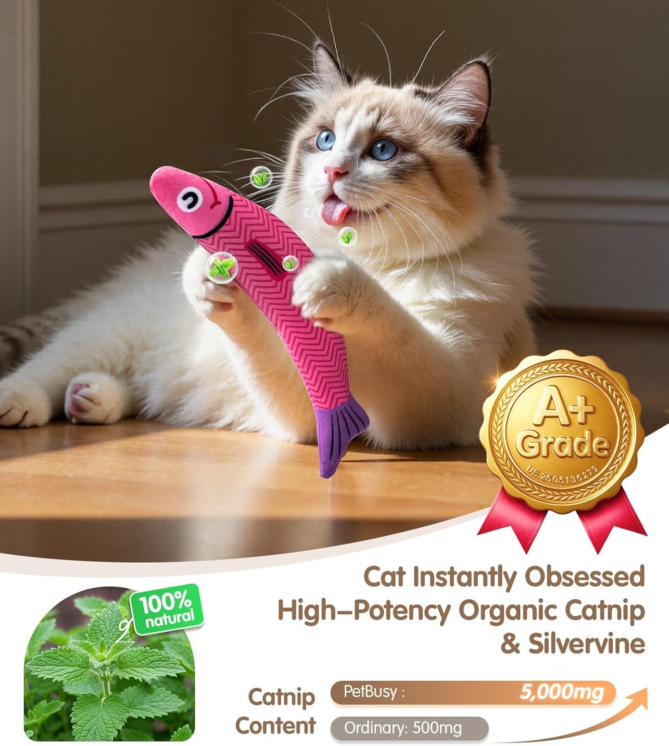 Cat Toys With[5000Mg A+Natural Catnip
