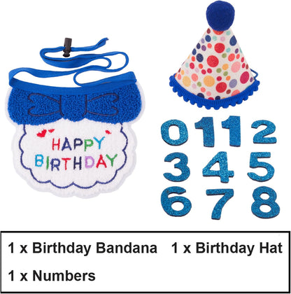 Cat Birthday Party Supplies Blue Boy Cat