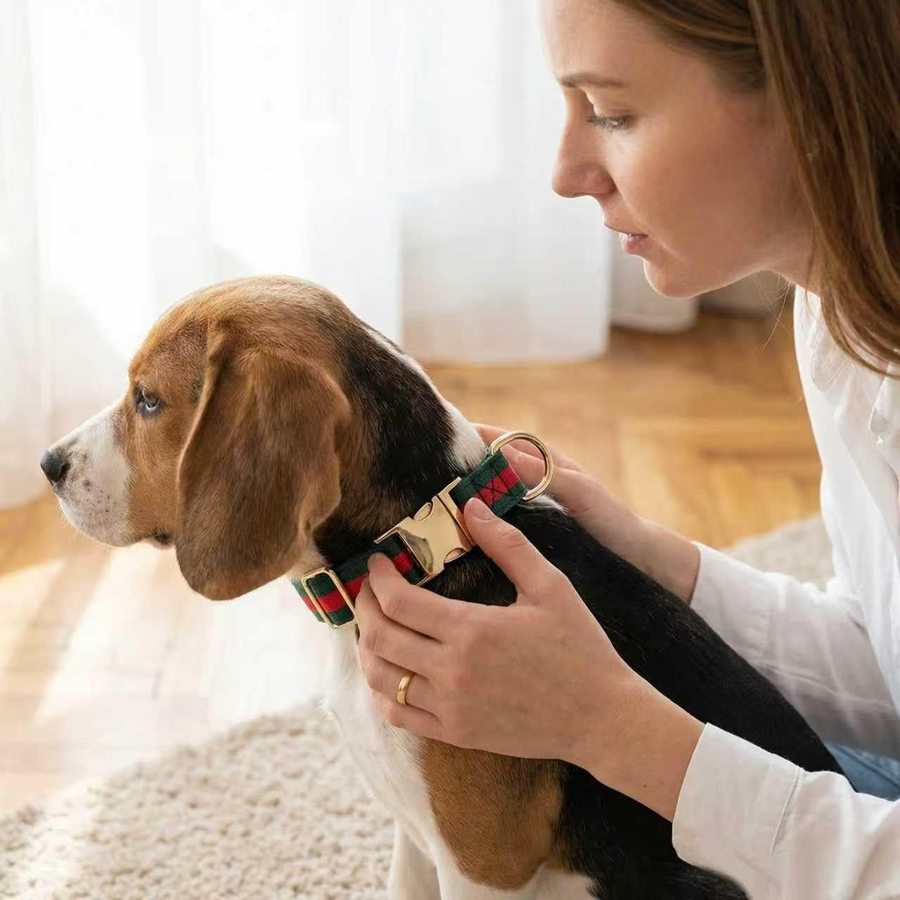 Premium Dog Collar, Cute Dog Collars
