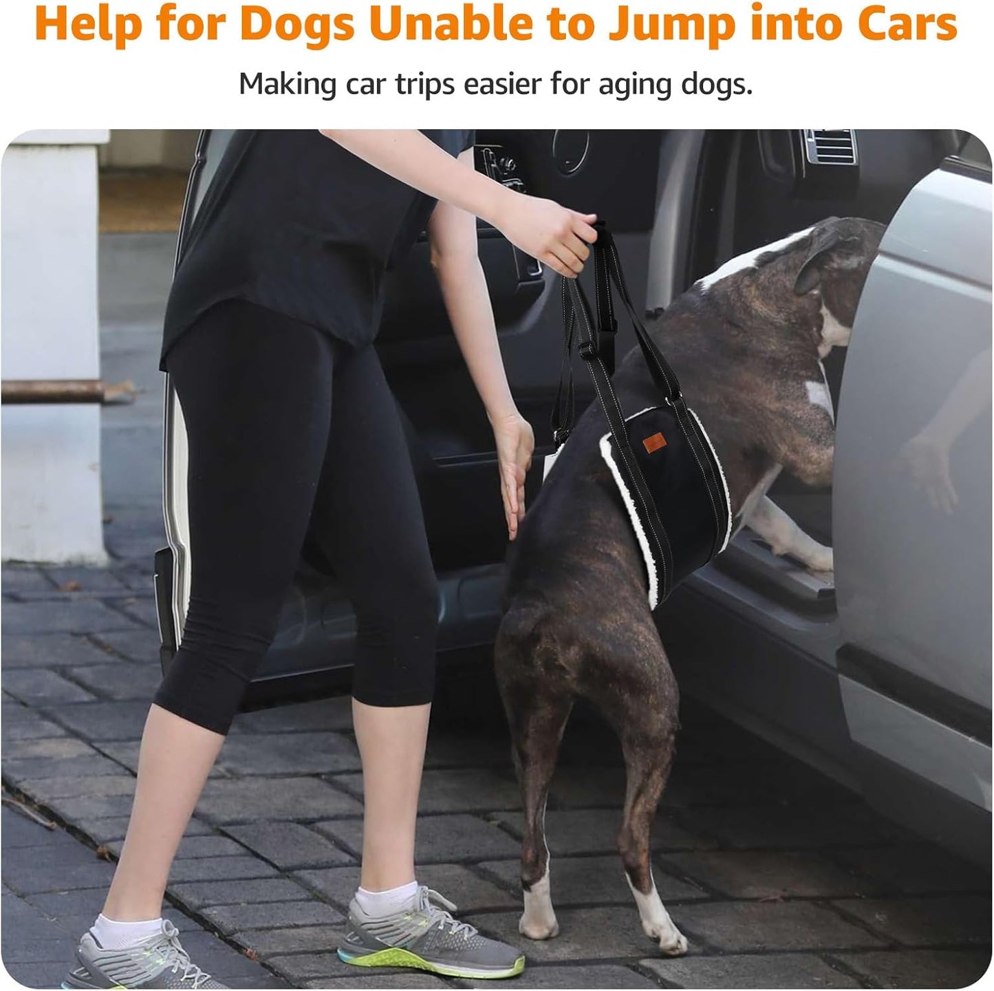 Portable Dog Sling for Back Legs