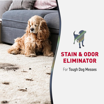 Nature’S Miracle Advanced Stain and Odor