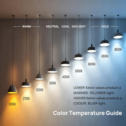 A19 LED Light Bulb, 60W Equivalent 2700K