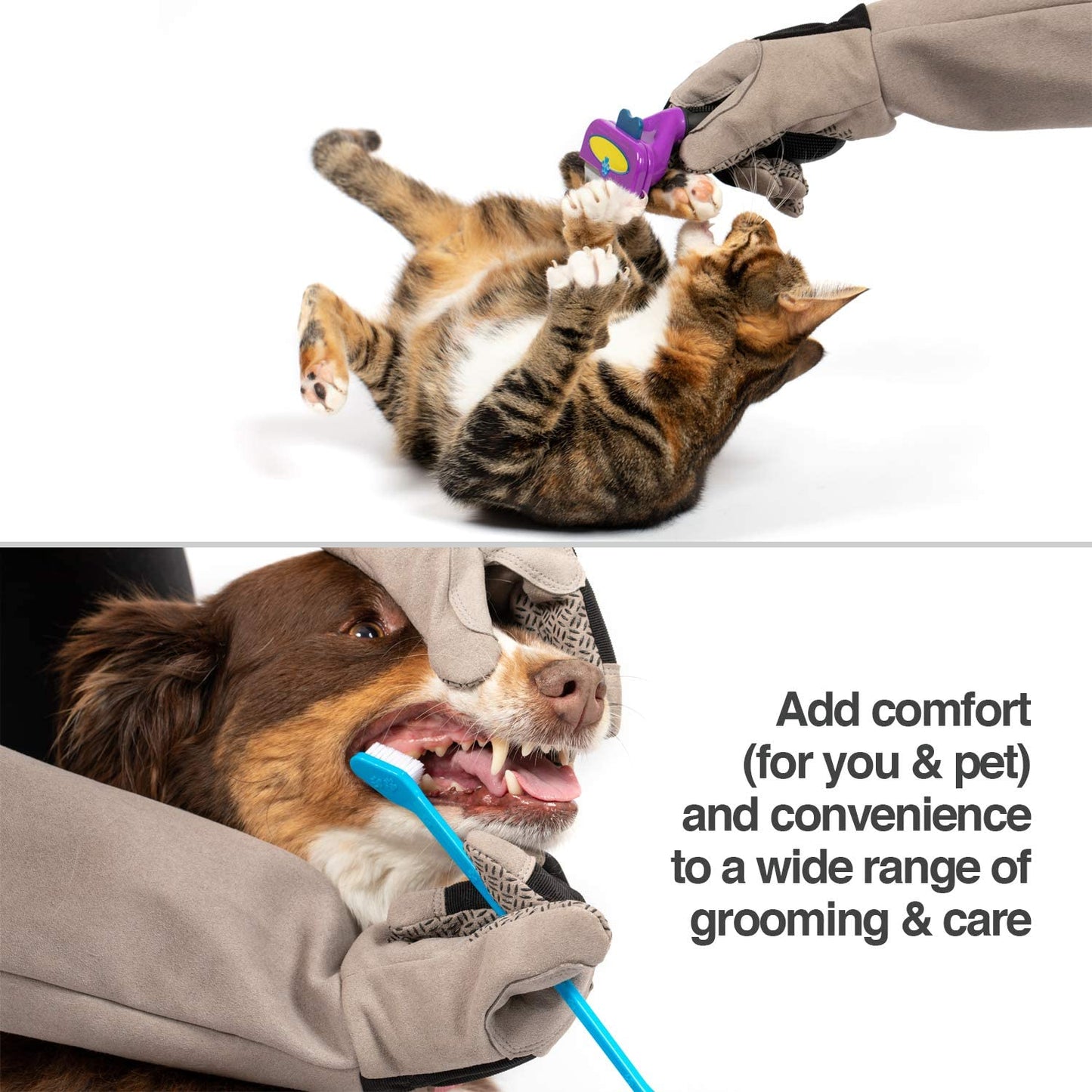 Multipurpose Pet Glove for Grooming